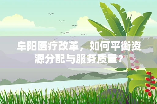 阜阳医疗改革，如何平衡资源分配与服务质量？