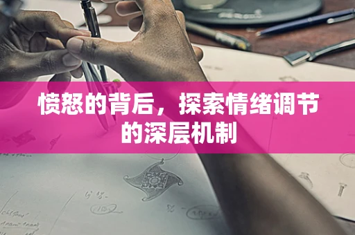 愤怒的背后，探索情绪调节的深层机制