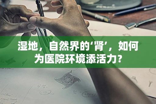湿地，自然界的‘肾’，如何为医院环境添活力？