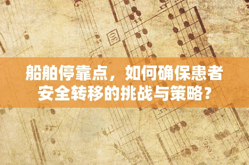 船舶停靠点，如何确保患者安全转移的挑战与策略？