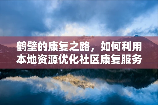 鹤壁的康复之路，如何利用本地资源优化社区康复服务？