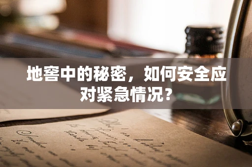 地窖中的秘密，如何安全应对紧急情况？