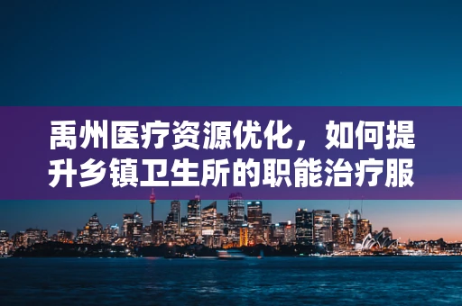 禹州医疗资源优化，如何提升乡镇卫生所的职能治疗服务？