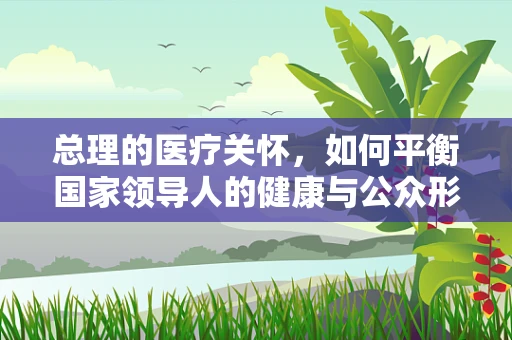 总理的医疗关怀，如何平衡国家领导人的健康与公众形象？