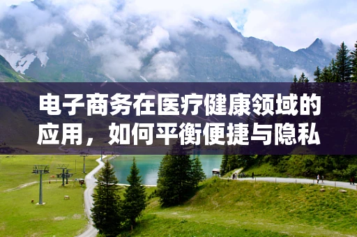 电子商务在医疗健康领域的应用，如何平衡便捷与隐私？