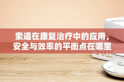 索道在康复治疗中的应用，安全与效率的平衡点在哪里？