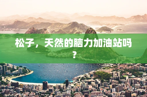 松子，天然的脑力加油站吗？
