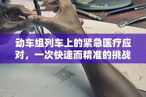 动车组列车上的紧急医疗应对，一次快速而精准的挑战？