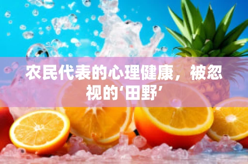 农民代表的心理健康，被忽视的‘田野’
