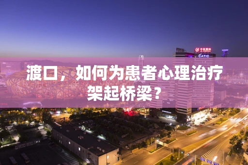 渡口，如何为患者心理治疗架起桥梁？