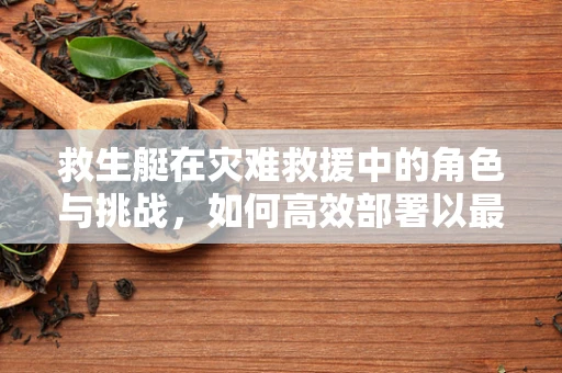 救生艇在灾难救援中的角色与挑战，如何高效部署以最大化生存机会？