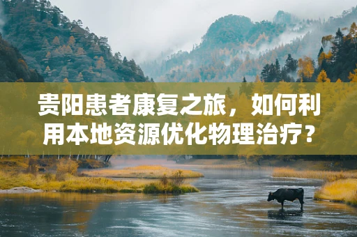 贵阳患者康复之旅，如何利用本地资源优化物理治疗？