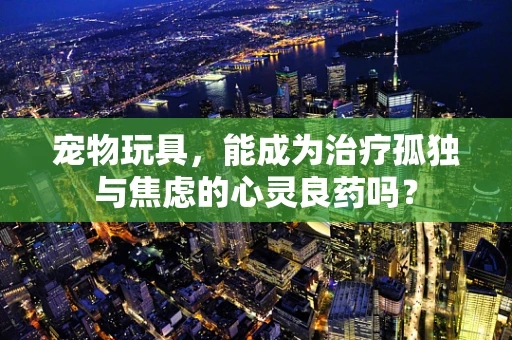 宠物玩具，能成为治疗孤独与焦虑的心灵良药吗？