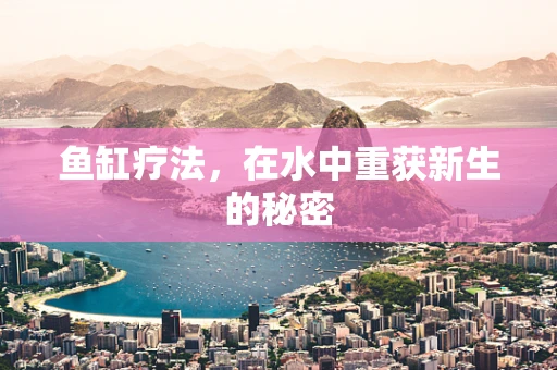 鱼缸疗法，在水中重获新生的秘密