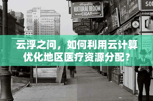 云浮之问，如何利用云计算优化地区医疗资源分配？