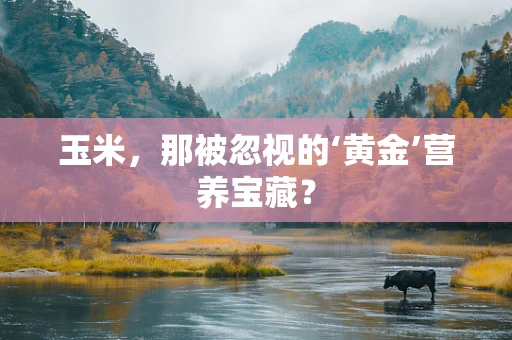 玉米，那被忽视的‘黄金’营养宝藏？
