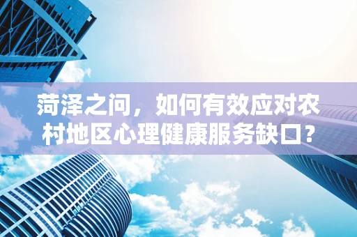 菏泽之问，如何有效应对农村地区心理健康服务缺口？