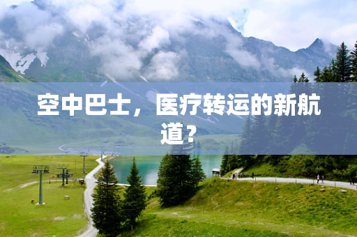 空中巴士，医疗转运的新航道？
