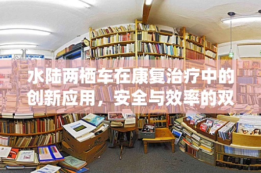 水陆两栖车在康复治疗中的创新应用，安全与效率的双重考量