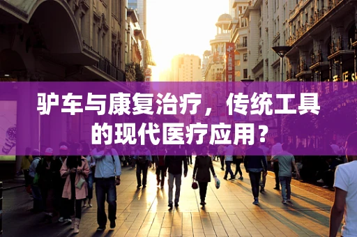 驴车与康复治疗，传统工具的现代医疗应用？