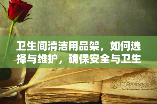 卫生间清洁用品架，如何选择与维护，确保安全与卫生？