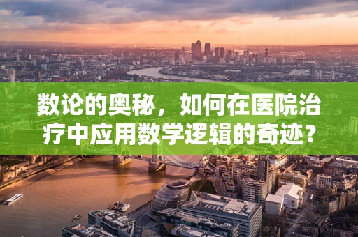 数论的奥秘，如何在医院治疗中应用数学逻辑的奇迹？