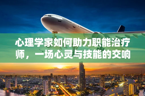 心理学家如何助力职能治疗师，一场心灵与技能的交响？