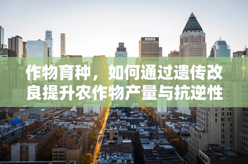 作物育种，如何通过遗传改良提升农作物产量与抗逆性？