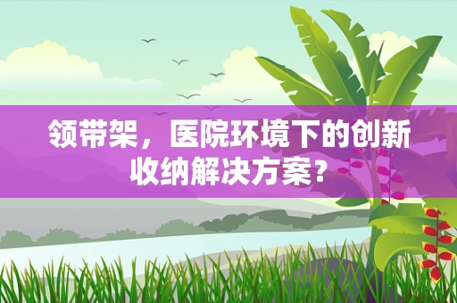 领带架，医院环境下的创新收纳解决方案？