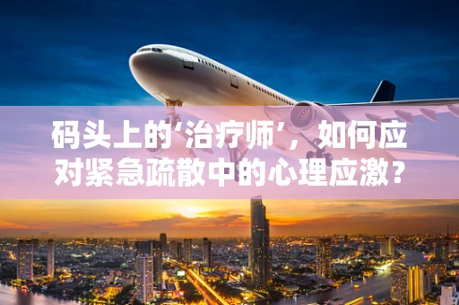 码头上的‘治疗师’，如何应对紧急疏散中的心理应激？