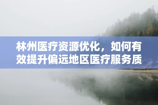 林州医疗资源优化，如何有效提升偏远地区医疗服务质量？