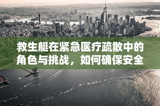 救生艇在紧急医疗疏散中的角色与挑战，如何确保安全撤离？