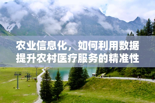 农业信息化，如何利用数据提升农村医疗服务的精准性？
