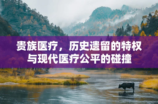 贵族医疗，历史遗留的特权与现代医疗公平的碰撞