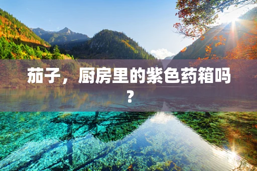 茄子，厨房里的紫色药箱吗？