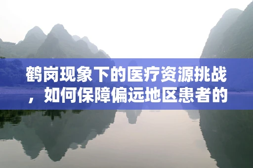 鹤岗现象下的医疗资源挑战，如何保障偏远地区患者的康复治疗？