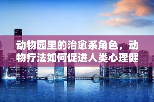 动物园里的治愈系角色，动物疗法如何促进人类心理健康？