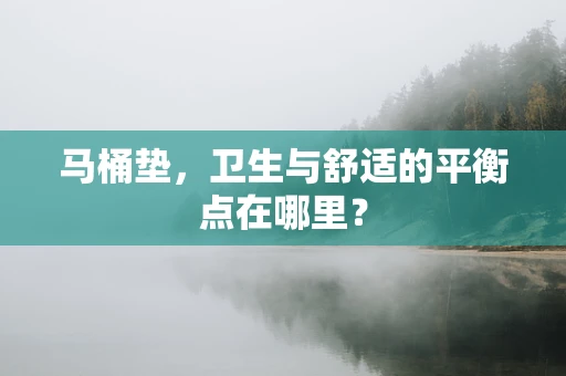 马桶垫，卫生与舒适的平衡点在哪里？
