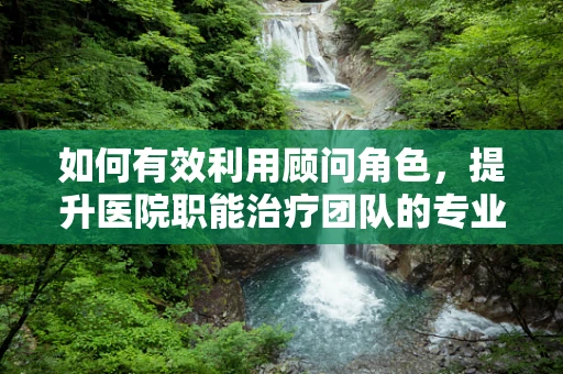 如何有效利用顾问角色，提升医院职能治疗团队的专业性？