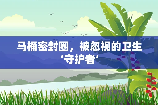 马桶密封圈，被忽视的卫生‘守护者’