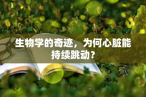 生物学的奇迹，为何心脏能持续跳动？
