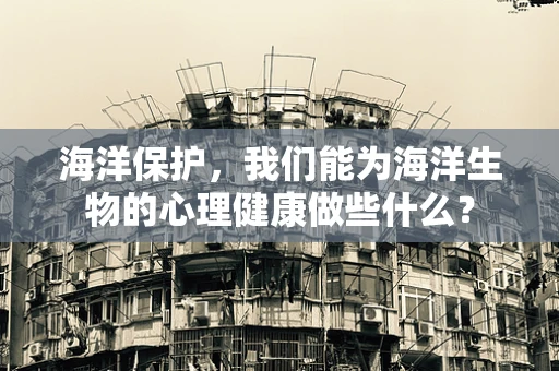 海洋保护，我们能为海洋生物的心理健康做些什么？