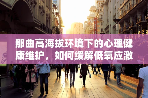 那曲高海拔环境下的心理健康维护，如何缓解低氧应激对治疗师与患者的心理影响？