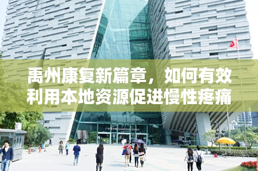 禹州康复新篇章，如何有效利用本地资源促进慢性疼痛患者的综合治疗？