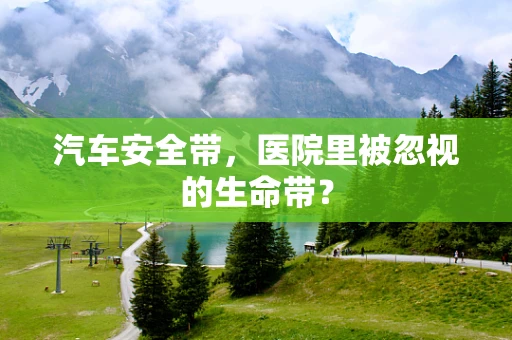 汽车安全带，医院里被忽视的生命带？