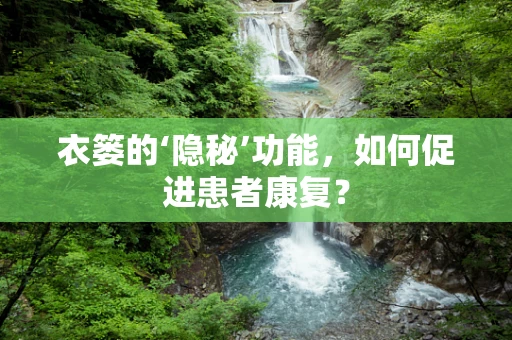 衣篓的‘隐秘’功能，如何促进患者康复？