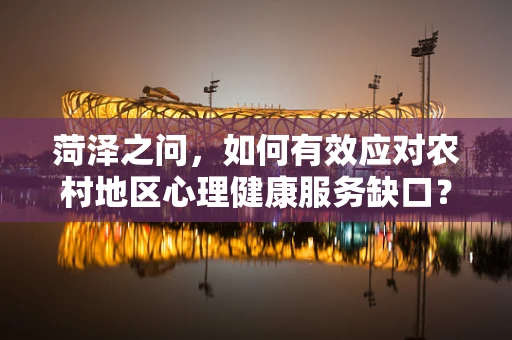 菏泽之问，如何有效应对农村地区心理健康服务缺口？