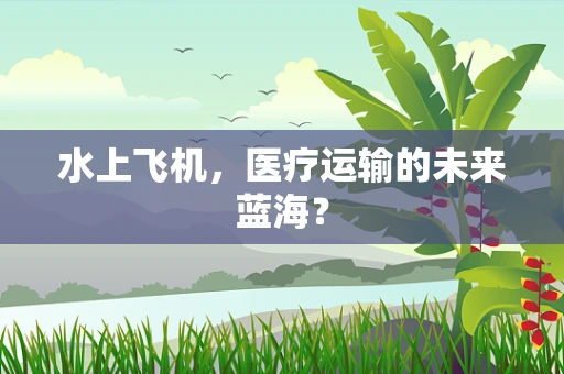 水上飞机，医疗运输的未来蓝海？