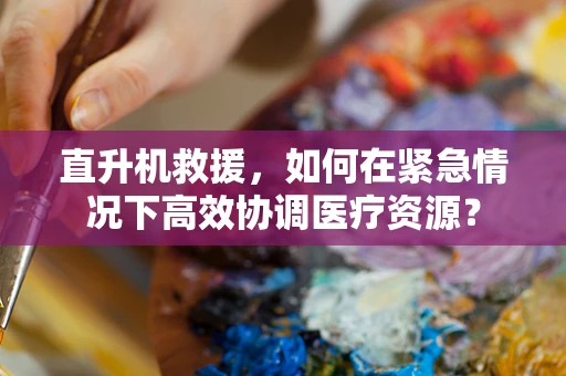 直升机救援，如何在紧急情况下高效协调医疗资源？