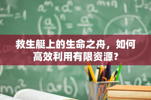 救生艇上的生命之舟，如何高效利用有限资源？